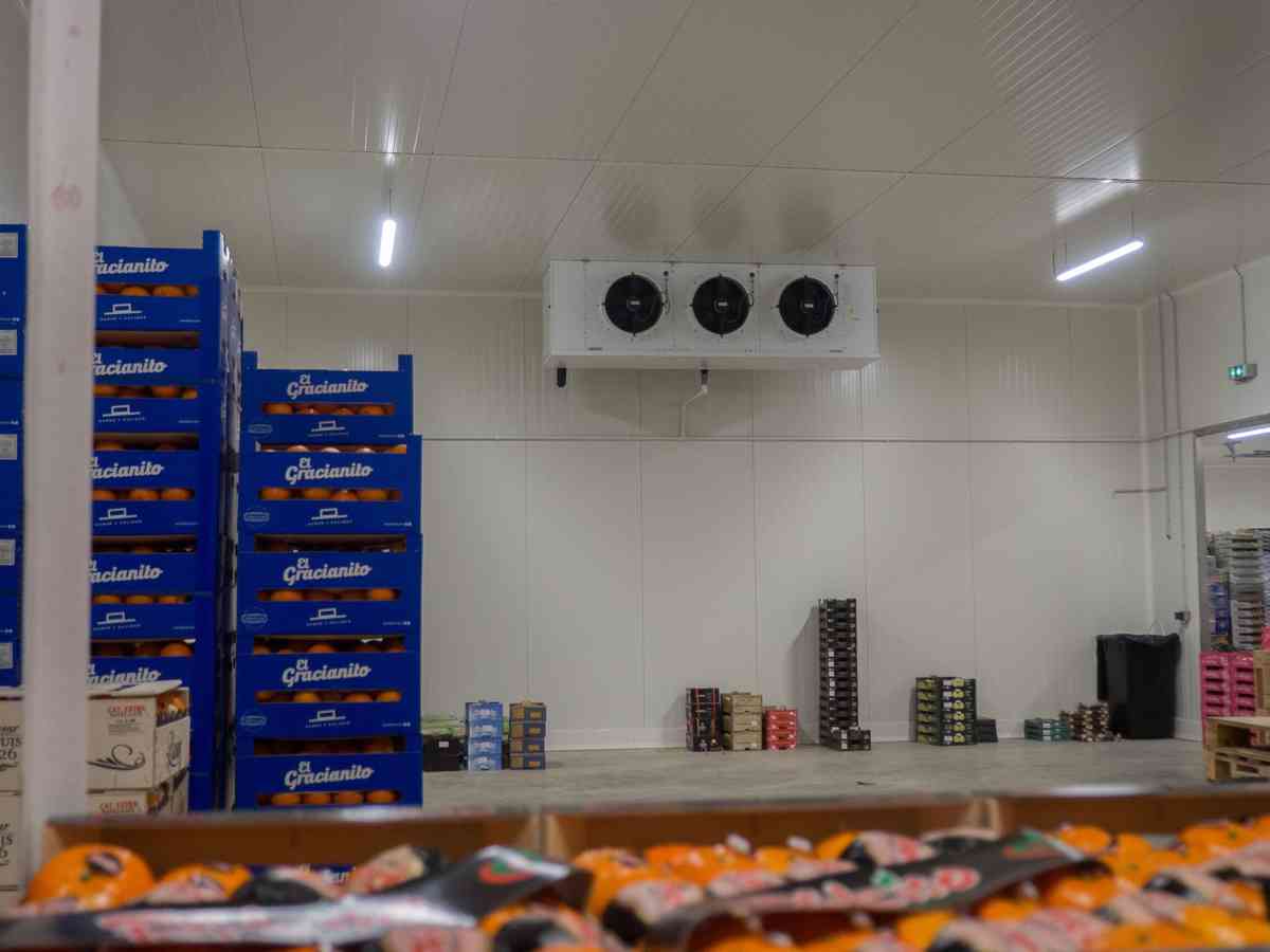 Pierre MONTARNAL Transports Négoce- Bâtiment logistique Séverac-le-Château (12)