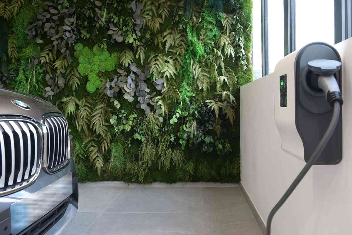 implantation mur végétal stabilisé concession automobile - Nanterre 92